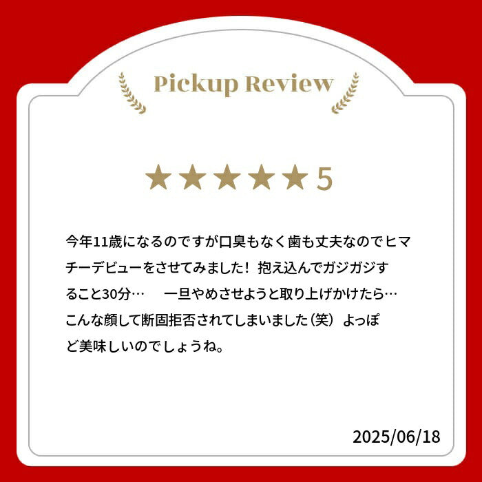 【売上No.1】ヒマラヤ ヤクミルクチーズ 犬用おやつ Sサイズ 約 30g 3本 オーガニック 原