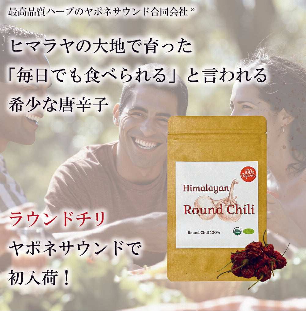 【日本初輸入!】ヒマラヤ産 有機ラウンドチリ Round chili ( パウダー タイプ ) 乾燥唐辛子 粉末 100g │ オーガニック 丸型 スパイス 香辛料 カレー エスニック料理 激辛 シーズニング イタリアン 中華 辛味 クセなし 自然栽培 検査済み 産地直輸入 【送料無料】