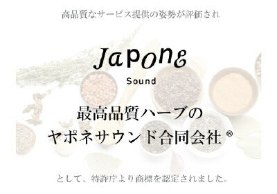 オーガニック グーズベリー(アムラ)パウダー 100g 食用 商品画像 13