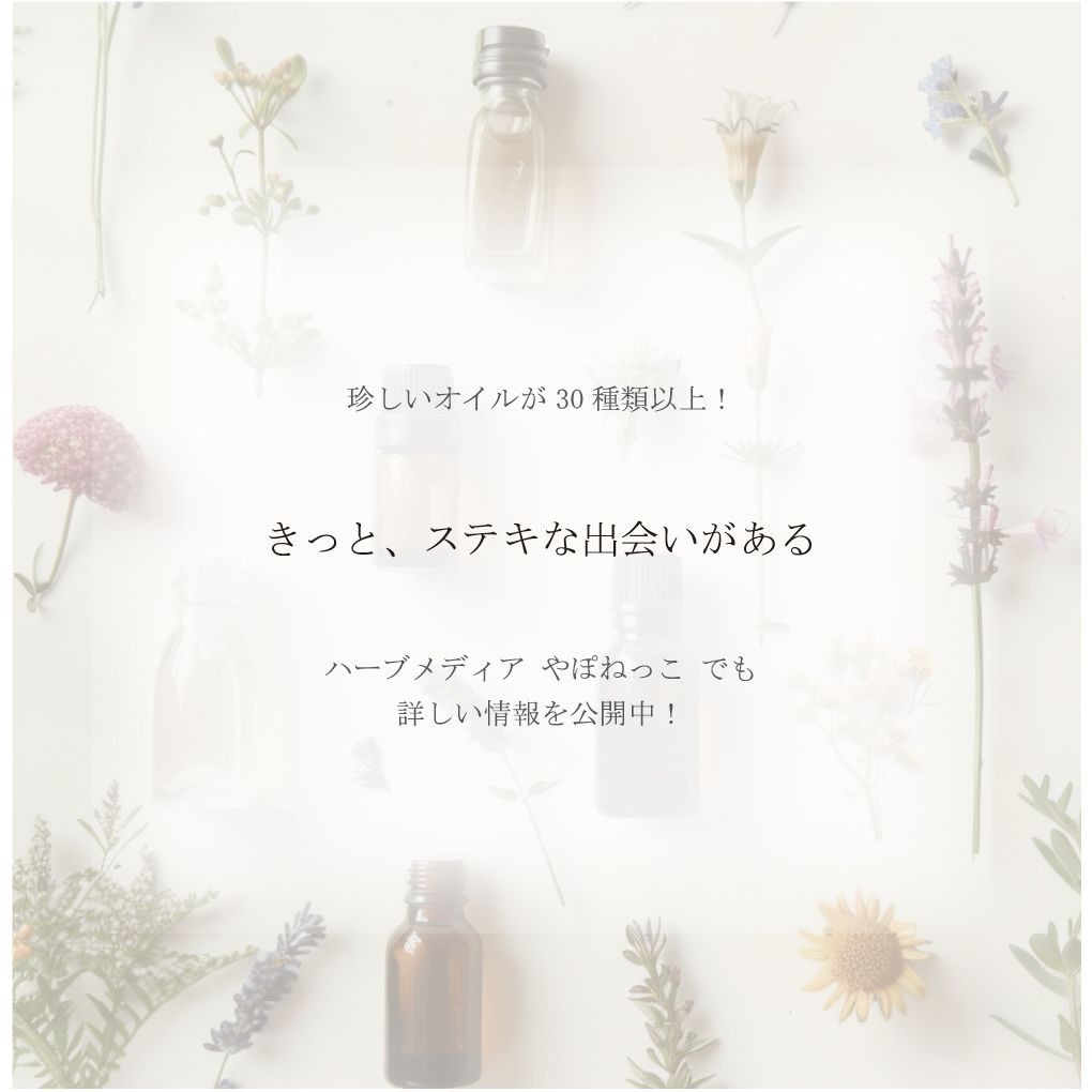 100%オーガニック 最高級 ジェドワールオイル | Organic Zedoary Oil Curcuma zedoaria ガジュツ 莪朮 紫ウコン 100% 天然 精油 無農薬 原料以外無添加 アロマ エッセンシャルオイル 香料 ハーブオイル ヤポネサウンド やぽねっこ