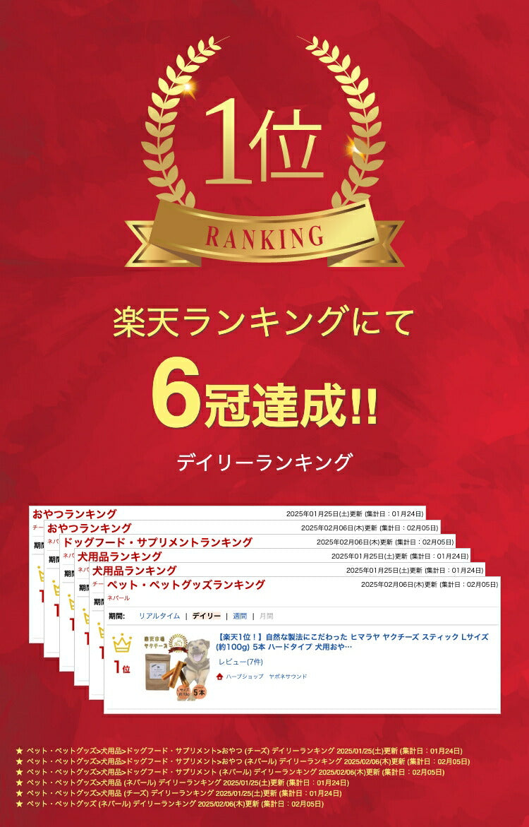 【楽天1位!】自然な製法にこだわった ヒマラヤ ヤクチーズ スティック Lサイズ (約100g) 5本 ハードタイプ 犬用おやつ 犬の歯の健康 ペットフード ヒマチ― 犬用ガム ヤクミルク ドッグフード 高たんぱく グルテンフリー グレインフリー