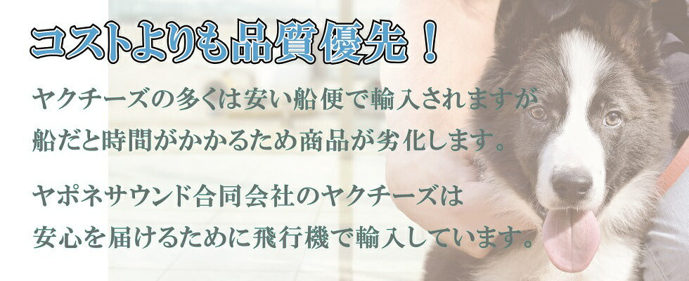 【楽天1位!】自然な製法にこだわった ヒマラヤ ヤクチーズ スティック Lサイズ (約100g) 3本 ハードタイプ 犬用おやつ 犬の歯 健康 ペットフード ヒマチ― 犬用ガム ヤクミルク ドッグフード 高たんぱく グルテンフリー グレインフリー