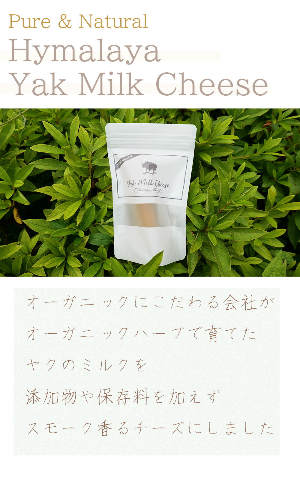 【楽天1位!】自然な製法にこだわった ヒマラヤ ヤクチーズ スティック Lサイズ (約100g) 3本 ハードタイプ 犬用おやつ 犬の歯 健康 ペットフード ヒマチ― 犬用ガム ヤクミルク ドッグフード 高たんぱく グルテンフリー グレインフリー