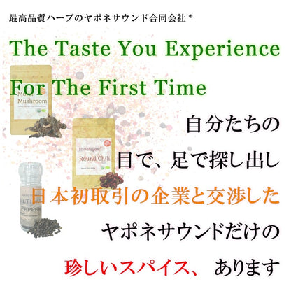 手摘み 爽山椒 | シルティムールペッパー Sil Timur Pepper 15g(ミル付き)ヒマラヤ産 和名のなかった ネパール 伝統 スパイス 香辛料 柑橘系の香り nepal pepper カレー フレンチ イタリアン アジア料理 中華 和食 製菓 調味料 シーズニング 山椒 胡椒 珍しい食材 レモングラス ライム