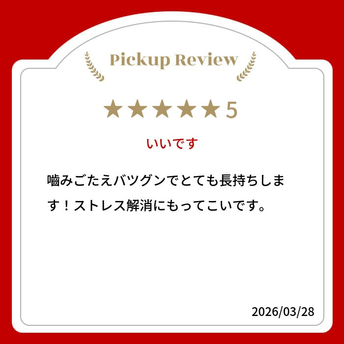【売上No.1】ヒマラヤ ヤクミルクチーズ 犬用おやつ Lサイズ 約 100g 1本 オーガニック 