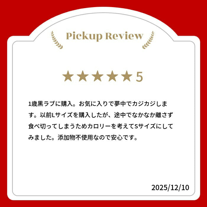【売上No.1】ヒマラヤ ヤクミルクチーズ 犬用おやつ Sサイズ 約 30g 5本 オーガニック 原
