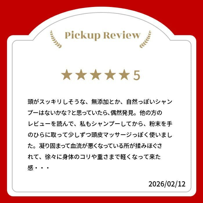 100%オーガニック ヘアサロン専売品 シカカイ＆アムラ＆ニームパウダー / Organic Shi