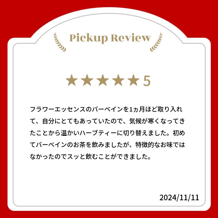 100%オーガニック バーベイン 50g Vervain Verbena officinalis ク