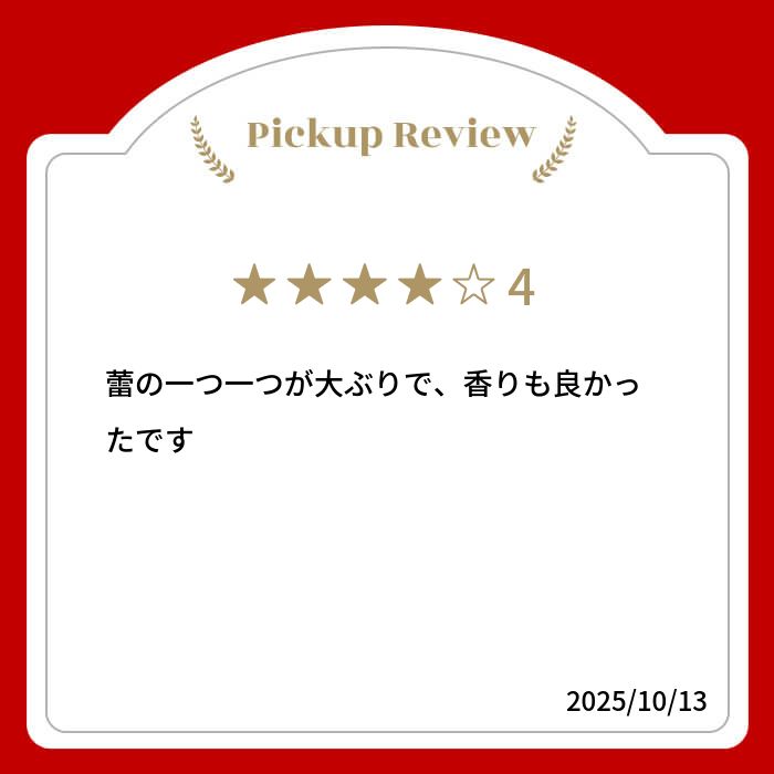 【新商品レビューキャンペーン対象】100%オーガニック ダマスクローズ バッズ / Damask R