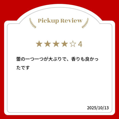 【新商品レビューキャンペーン対象】100%オーガニック ダマスクローズ バッズ / Damask R