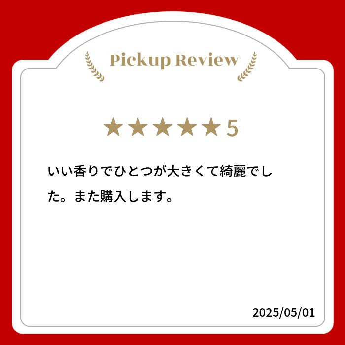 【新商品レビューキャンペーン対象】100%オーガニック ダマスクローズ バッズ / Damask R