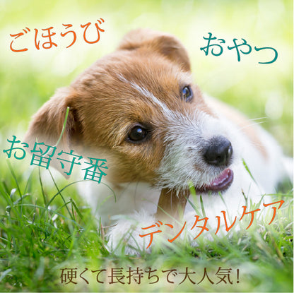 ヒマラヤ ヤクミルクチーズ 犬用おやつ Lサイズ 約 100g 5本入り オーガニック 原材料以外無添加 高たんぱく グルテンフリー グレインフリー 硬いおやつ 長持ち 歯みがき習慣 デンタルケア 小型犬 中型犬 大型犬 子犬 成犬 シニア犬 天然素材 手作り 犬用ガム 留守番 犬の保護活動支援 Yak Milk Cheese Dog Chew ヤポネサウンド
