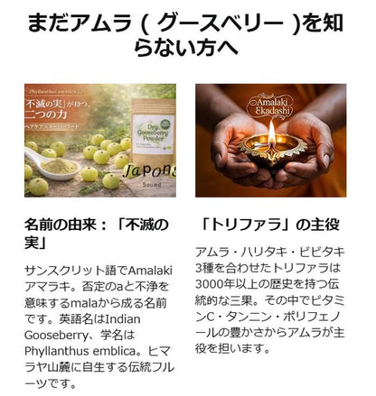 オーガニック グーズベリー（アムラ）パウダー 200g 食用 商品画像 04