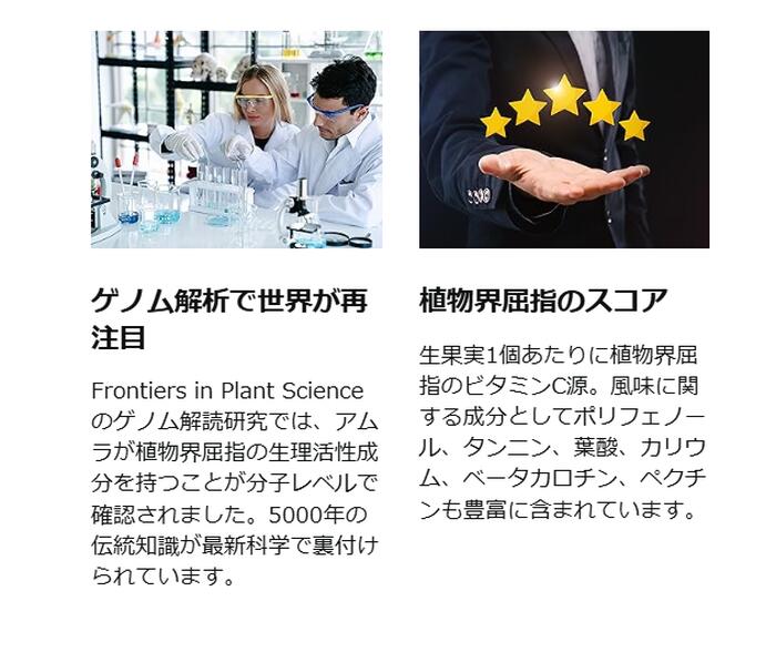 オーガニック グーズベリー（アムラ）パウダー 200g 食用 商品画像 05