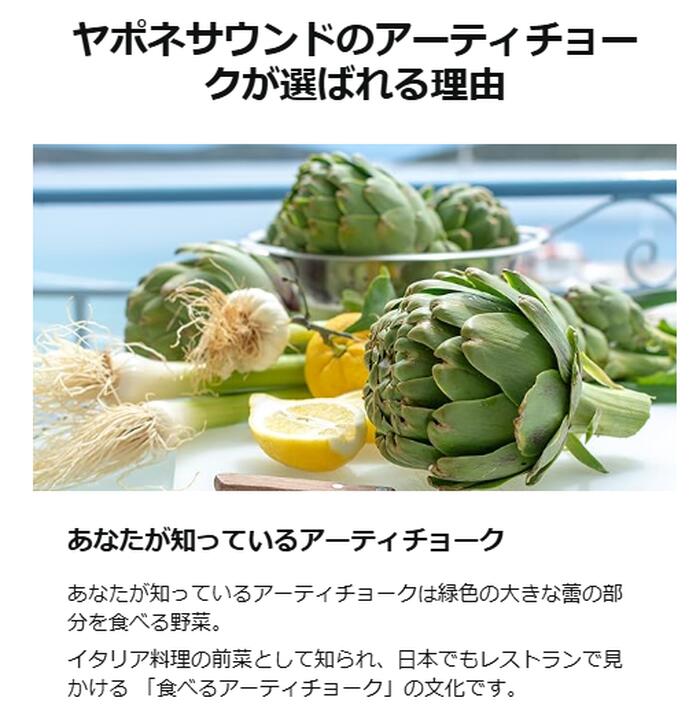 アーティチョーク ドライハーブ カット 原料以外無添加 サプリメントグレード ハーブティー 地中海伝