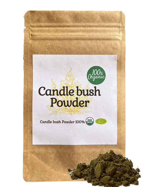 【新商品レビューキャンペーン対象】100%オーガニック キャンドルブッシュ パウダー / candle bush Powder 50g オーガニック アーユルヴェーダ 健康 ダイエット カッシア アラタ タンニン ポリフェノール ゴールドブッシュフラボノイド クリソフェノール