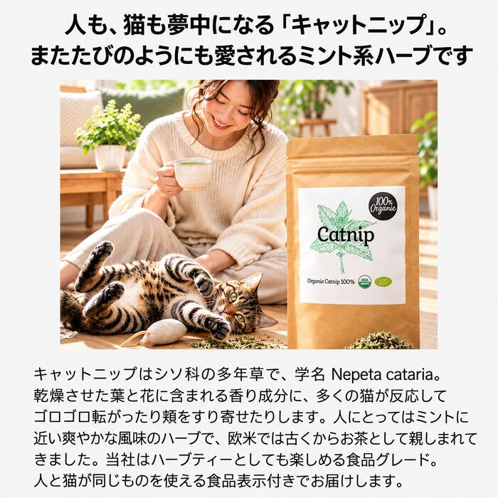 ヤポネサウンド合同会社