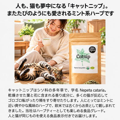ヤポネサウンド合同会社