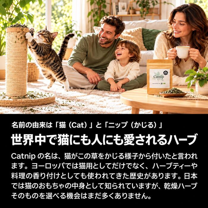 100%オーガニックシカカイパウダー/OrganicShikakaiPowder100g(業務用簡易パック)ハーブシャンプーヘアケアトリートメント無添加シャンプーヘアサロン美容艶髪くせ毛ヘナ髪質改善ヘアトラブル美髪アーユルヴェーダ無農薬ヘアパック