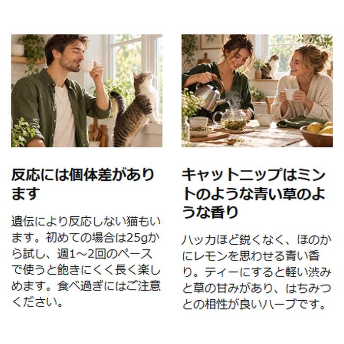 ヤポネサウンド合同会社2