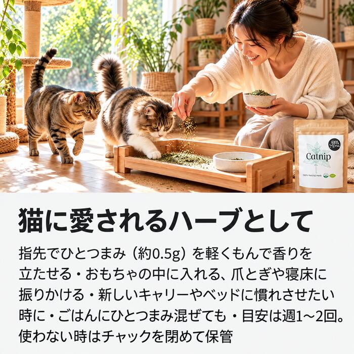自然が一番