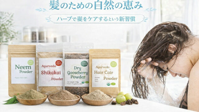 オーガニック グーズベリー（アムラ）パウダー 200g 食用 商品画像 12