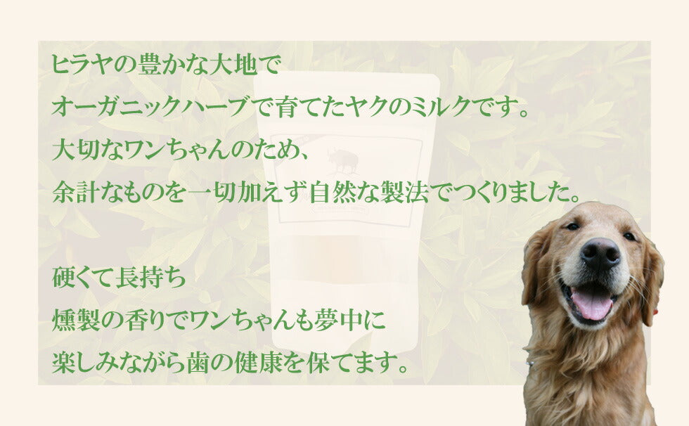 【楽天１位！】自然な製法にこだわった ヒマラヤ ヤクチーズ スティック Lサイズ (約100g)  1本 ハードタイプ 犬用おやつ 犬の歯の健康  ペットフード ヒマチ― 犬用ガム ヤクミルク ドッグフード  高たんぱく グルテンフリー グレインフリー