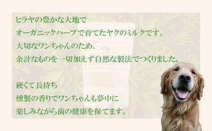 【楽天１位！】自然な製法にこだわった ヒマラヤ ヤクチーズ スティック Lサイズ (約100g)  1本 ハードタイプ 犬用おやつ 犬の歯の健康  ペットフード ヒマチ― 犬用ガム ヤクミルク ドッグフード  高たんぱく グルテンフリー グレインフリー