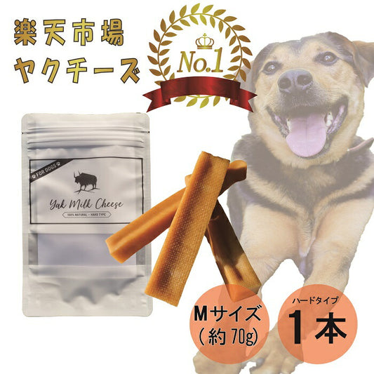 【楽天1位!】自然な製法にこだわった ヒマラヤ ヤクチーズ スティック Mサイズ (約70g)  1本 Himalaya Yak Milk Cheese ハードタイプ 犬用おやつ 犬の歯の健康  ペットフード ヒマチ― 犬用ガム ヤクミルク ドッグフード 無添加 高たんぱく グルテンフリー グレインフリー