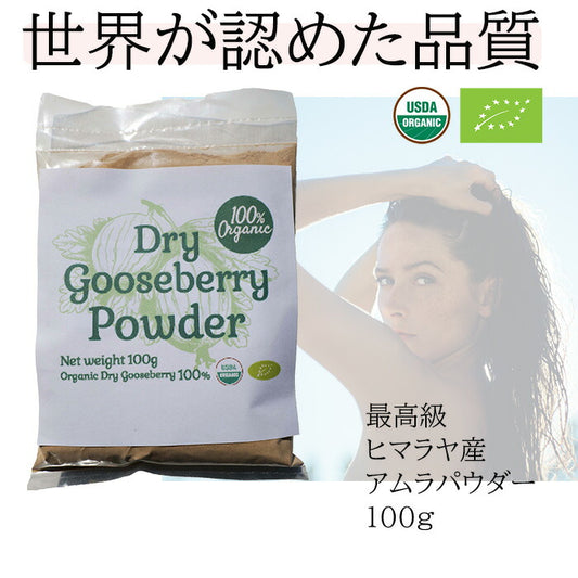 100%オーガニック　グーズベリー ( アムラ ) パウダー / Gooseberry ( Amla )Powder 100g オーガニック シャンプー トリートメント ビタミンC アーユルヴェーダ ヘアサロン 高濃度タンニン ヘアケア 美髪 髪 ボリューム コシ ヘナ ハーブ シャンプー ノンケミカル グズベリー