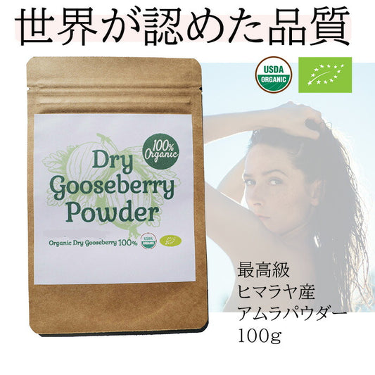 100%オーガニック　グーズベリー ( アムラ ) パウダー / Gooseberry ( Amla )Powder 100g オーガニック シャンプー トリートメント ビタミンC アーユルヴェーダ ヘアサロン 高濃度タンニン ヘアケア 美髪 髪 ボリューム コシ ヘナ ハーブ シャンプー ノンケミカル グズベリー