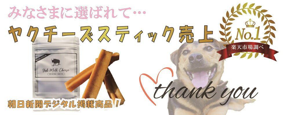 【楽天１位！】自然な製法にこだわった ヒマラヤ ヤクチーズ スティック Lサイズ (約100g)  1本 ハードタイプ 犬用おやつ 犬の歯の健康  ペットフード ヒマチ― 犬用ガム ヤクミルク ドッグフード  高たんぱく グルテンフリー グレインフリー