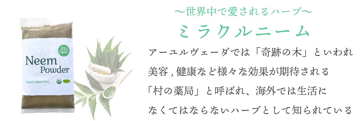 100%オーガニック　ニームパウダー(neem powder) 100g  無農薬栽培　サロン専売品　欧米オーガニック規格　アーユルヴェーダ　ミラクルニーム 　美容　シャンプー　ヘアケア　ニームティー　ハーブティー　健康　害虫駆除　ガーデニング