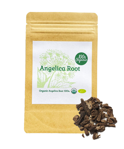 【新商品レビューキャンペーン対象】100%オーガニック アンジェリカ ルート / Angelica Root 100g アンゼリカ セイヨウトウキ　ヨーロッパトウキ　胃 温活 バイタリティ メンタル 更年期 食欲 利胆　駆風　フィトステロール ホルモンバランス アーユルヴェーダ ハーブティー