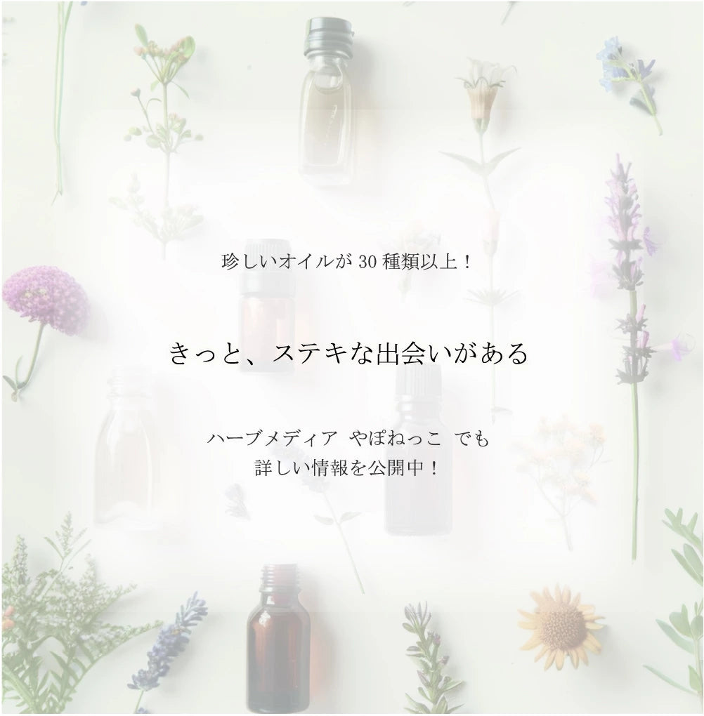 100%オーガニック 最高級 ジャーマンカモミールオイル | Organic German Cham