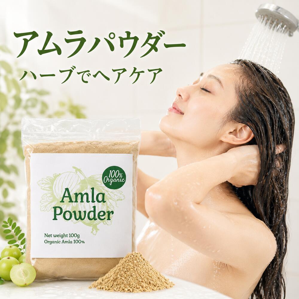 オーガニック グーズベリー（アムラ）パウダー 100g ヘアケア 商品画像 01