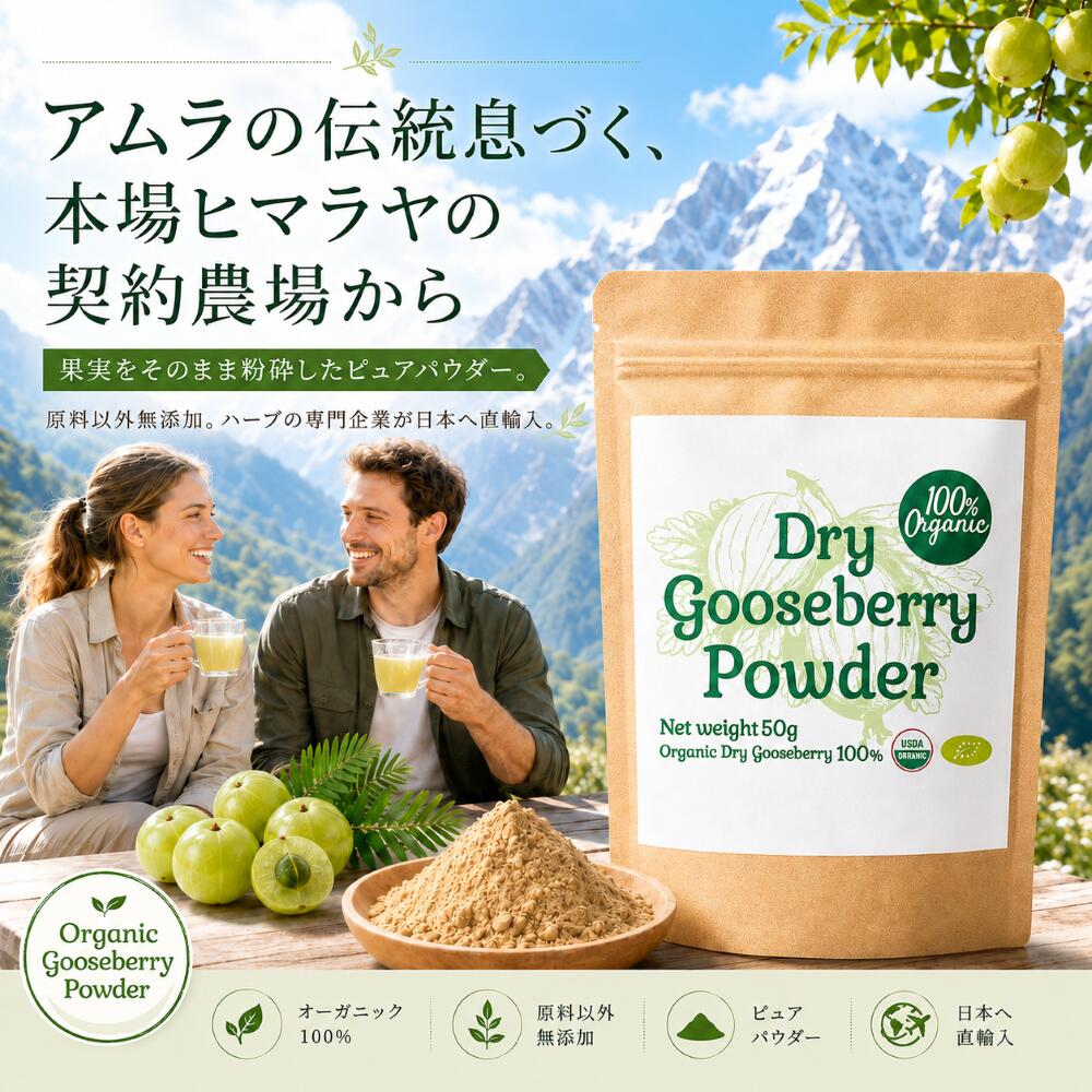 オーガニック グーズベリー（アムラ）パウダー 100g ヘアケア 商品画像 02