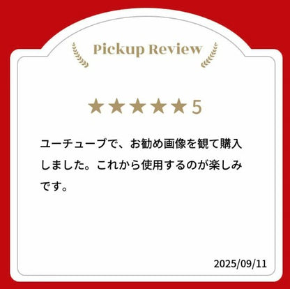 100%オーガニック　ニームパウダー(neem powder) 100g  無農薬栽培　サロン専売品　欧米オーガニック規格　アーユルヴェーダ　ミラクルニーム 　美容　シャンプー　ヘアケア　ニームティー　ハーブティー　健康　害虫駆除　ガーデニング