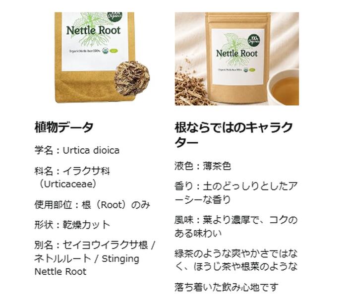 100%オーガニック ネトル ルート / Nettle Root 50g Urtica dioica