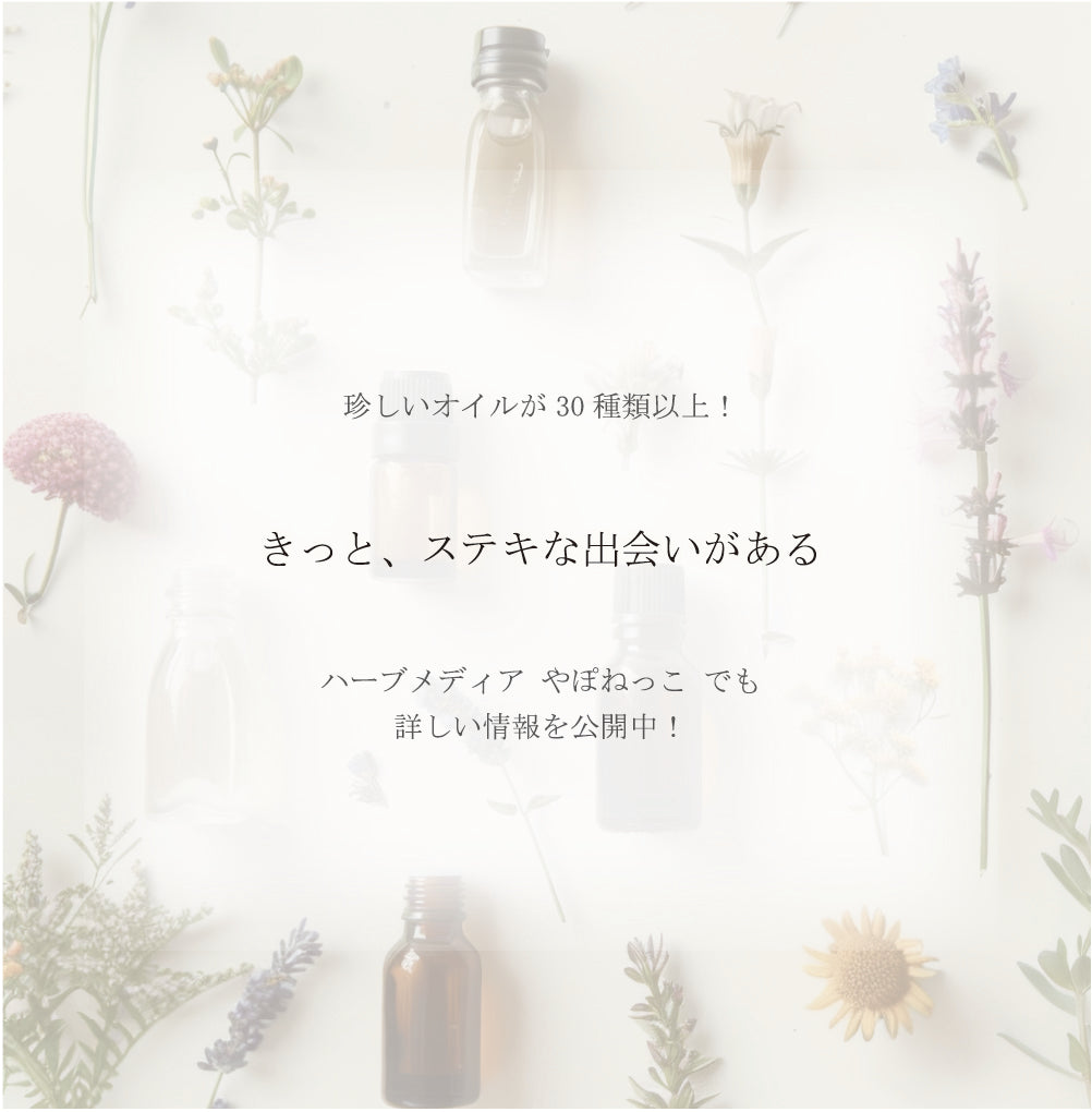 100%オーガニック 最高級 ターメリック リーフ (葉) オイル | Organic Turmeric Leaf Oil 10ml ウコン Curcuma longa 100% 天然 精油 無農薬 原料以外無添加 アロマ エッセンシャルオイル 香料 ハーブオイル ヤポネサウンド やぽねっこ